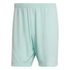 Adidas Entrada 22 Shorts Türkis